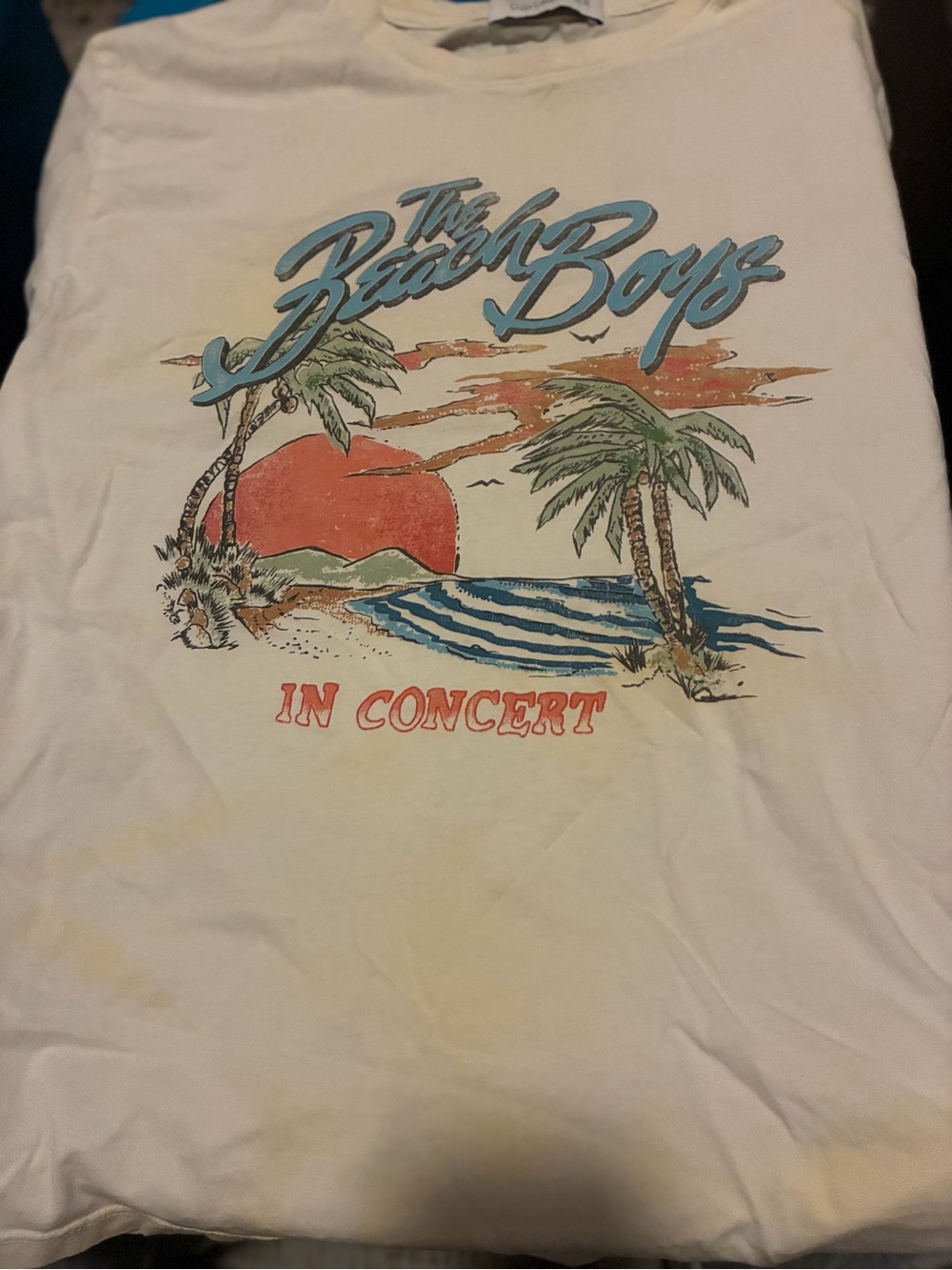 Daydreamer White Beach Boys 'In Concert' Graphic Tee